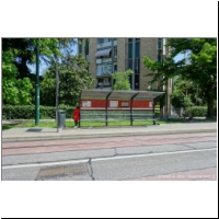 2019-05-26 T1 Boerio.jpg